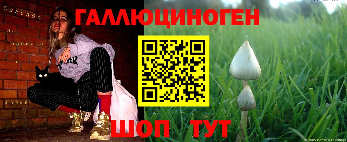 Псилоцибиновые грибы Cubensis  Вход с VPN  Старая Купавна  Псилоцибиновые грибы MAGIC MUSHROOMS 